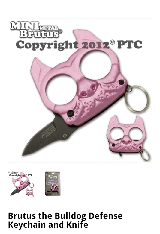 Self Defense Keychain With Assisted Knife